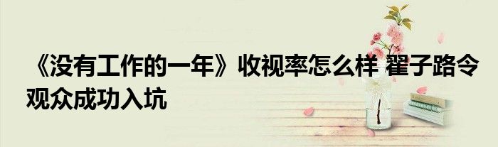 《没有工作的一年》收视率怎么样 翟子路令观众成功入坑