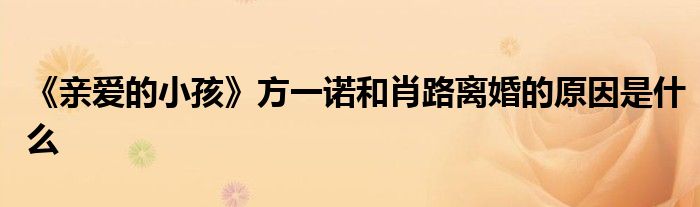《亲爱的小孩》方一诺和肖路离婚的原因是什么
