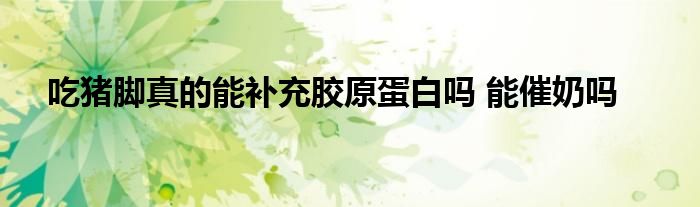 吃猪脚真的能补充胶原蛋白吗 能催奶吗