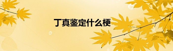 丁真鉴定什么梗