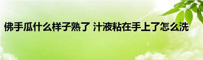 佛手瓜什么样子熟了 汁液粘在手上了怎么洗