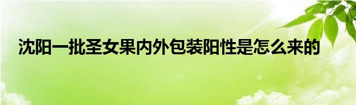 沈阳一批圣女果内外包装阳性是怎么来的