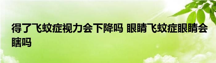 得了飞蚊症视力会下降吗 眼睛飞蚊症眼睛会瞎吗