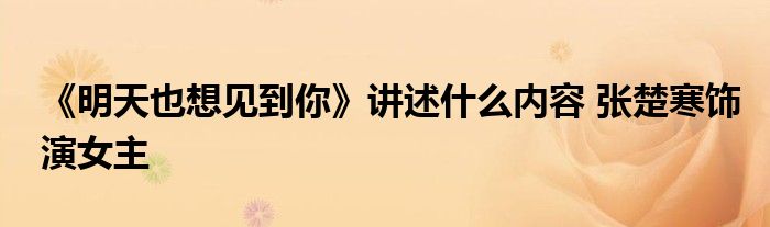 《明天也想见到你》讲述什么内容 张楚寒饰演女主