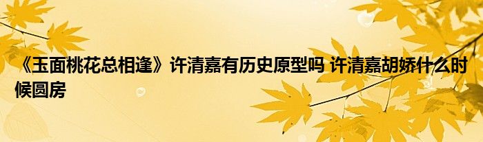 《玉面桃花总相逢》许清嘉有历史原型吗 许清嘉胡娇什么时候圆房