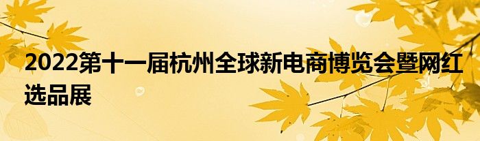 2022第十一届杭州全球新电商博览会暨网红选品展