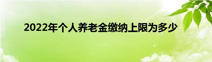 2022年个人养老金缴纳上限为多少