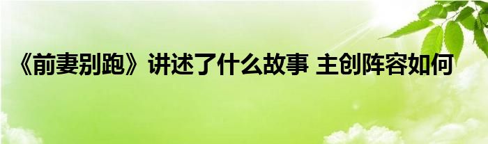 《前妻别跑》讲述了什么故事 主创阵容如何