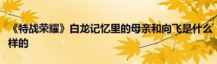 《特战荣耀》白龙记忆里的母亲和向飞是什么样的