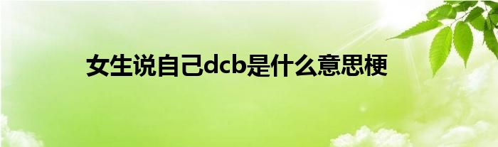 女生说自己dcb是什么意思梗