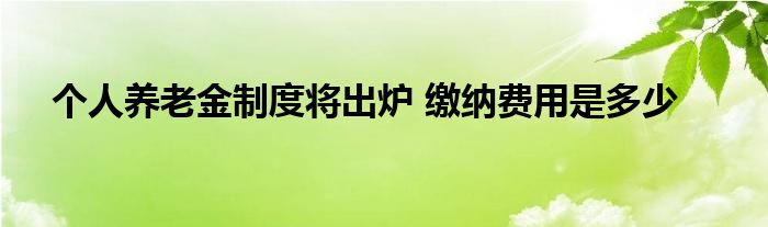 个人养老金制度将出炉 缴纳费用是多少
