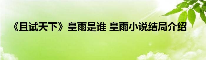 《且试天下》皇雨是谁 皇雨小说结局介绍