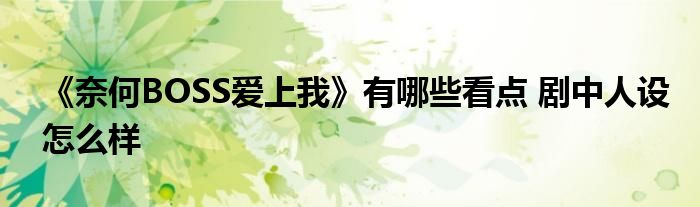 《奈何BOSS爱上我》有哪些看点 剧中人设怎么样