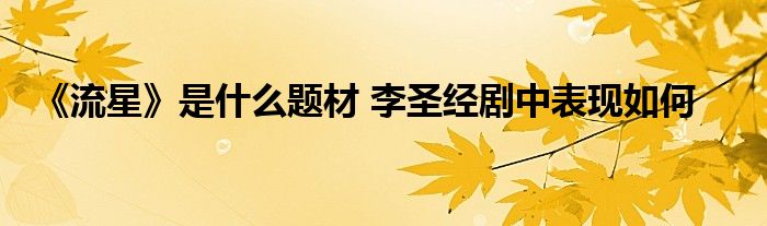 《流星》是什么题材 李圣经剧中表现如何