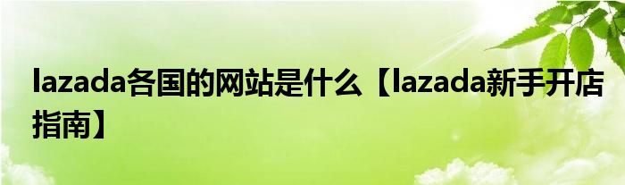lazada各国的网站是什么【lazada新手开店指南】