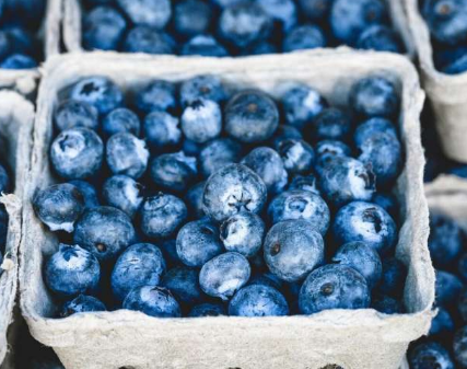经常食用蓝莓可降低患痴呆症的风险