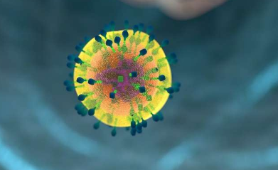 实体瘤使用一种T细胞作为抵御免疫攻击的屏障