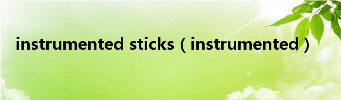 instrumented sticks（instrumented）