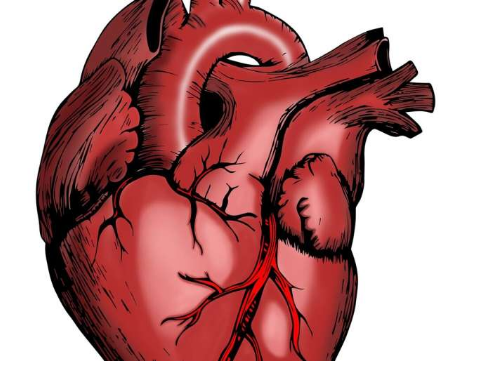 经皮冠状动脉介入治疗对心脏肿瘤患者是安全的