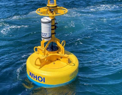为保护大西洋露脊鲸安全而开发的机器人浮标