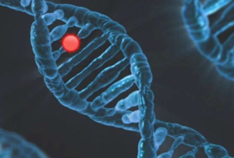 研究发现DNA突变对终生血细胞产生的影响