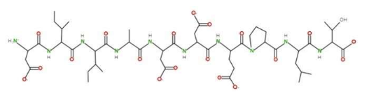 具有抗肥胖作用的肽在动物试验中成功测试