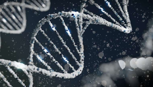 全球科学家团队发现导致严重神经发育迟缓的新基因