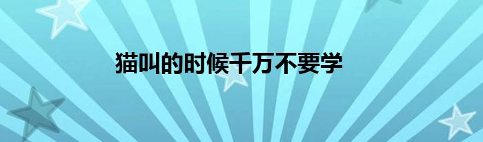 猫叫的时候千万不要学