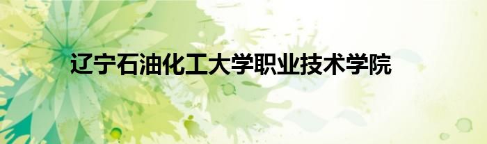 辽宁石油化工大学职业技术学院