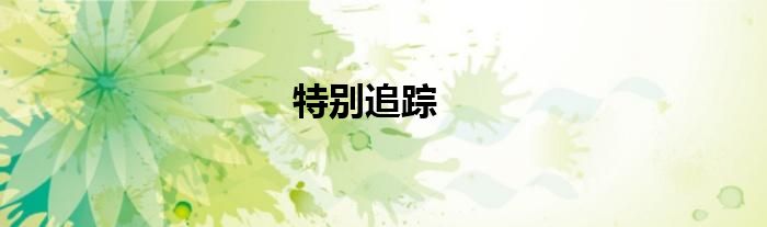 特别追踪