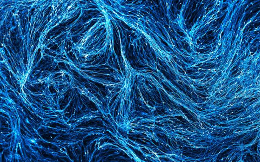 小胶质细胞如何导致阿尔茨海默病