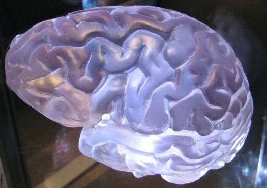 新脑损伤患者的血液检测可预测死亡和严重残疾