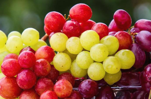 吃葡萄可能对健康有益