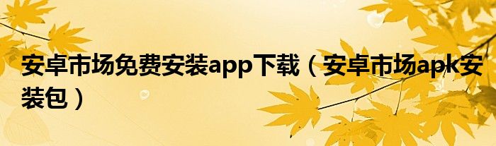 安卓市场免费安装app下载（安卓市场apk安装包）