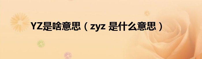 YZ是啥意思（zyz 是什么意思）