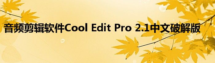 音频剪辑软件Cool Edit Pro 2.1中文破解版