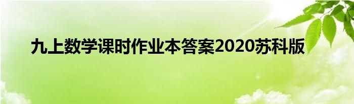 九上数学课时作业本答案2020苏科版