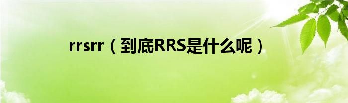 rrsrr（到底RRS是什么呢）