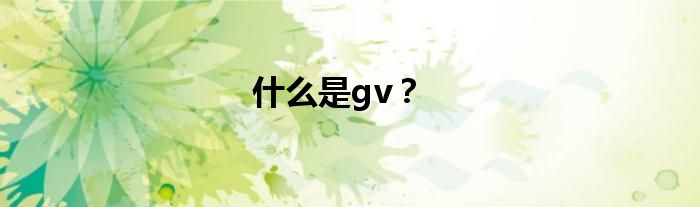 什么是gv？