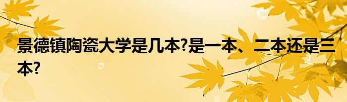 景德镇陶瓷大学是几本?是一本、二本还是三本?