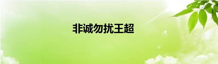 非诚勿扰王超