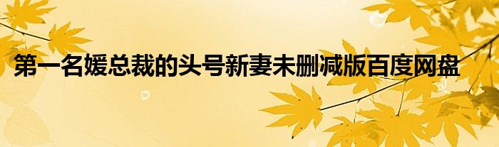 第一名媛总裁的头号新妻未删减版百度网盘