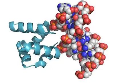 除了下调蛋白质产生外 MicroRNA 还可以上调蛋白质