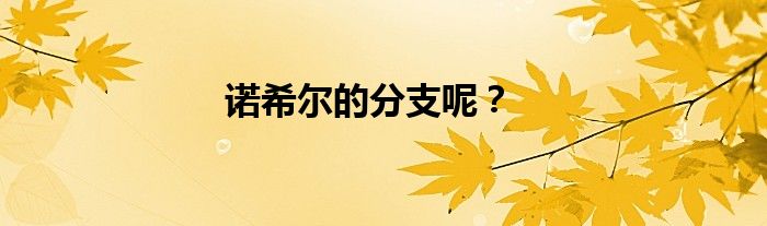 诺希尔的分支呢？