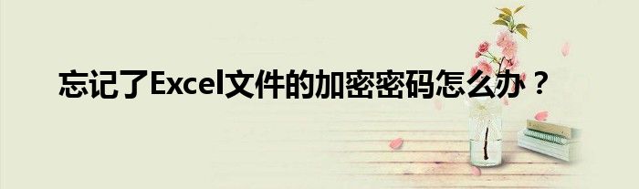 忘记了Excel文件的加密密码怎么办？
