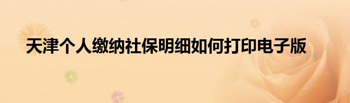 天津个人缴纳社保明细如何打印电子版