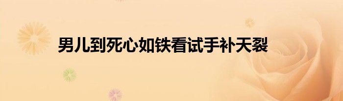 男儿到死心如铁看试手补天裂
