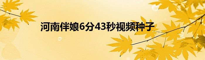 河南伴娘6分43秒视频种子