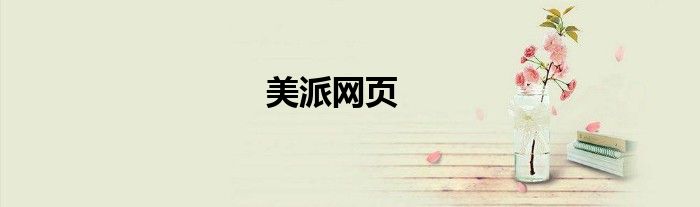 美派网页