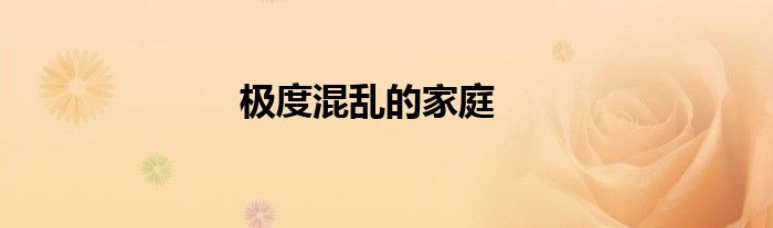 极度混乱的家庭